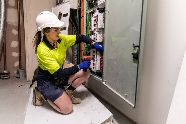 Best Electric Panel Repair  in Windsor, NC